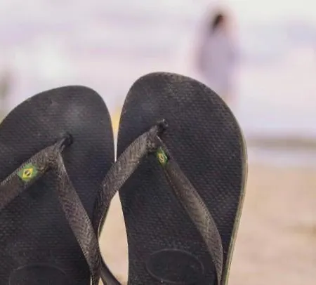 Un Petit Nid Les Pieds Dans L'eau *